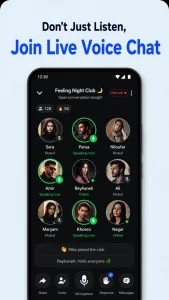 date & voice chat online